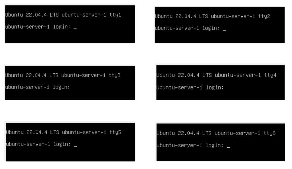 Linux Virtual Terminals